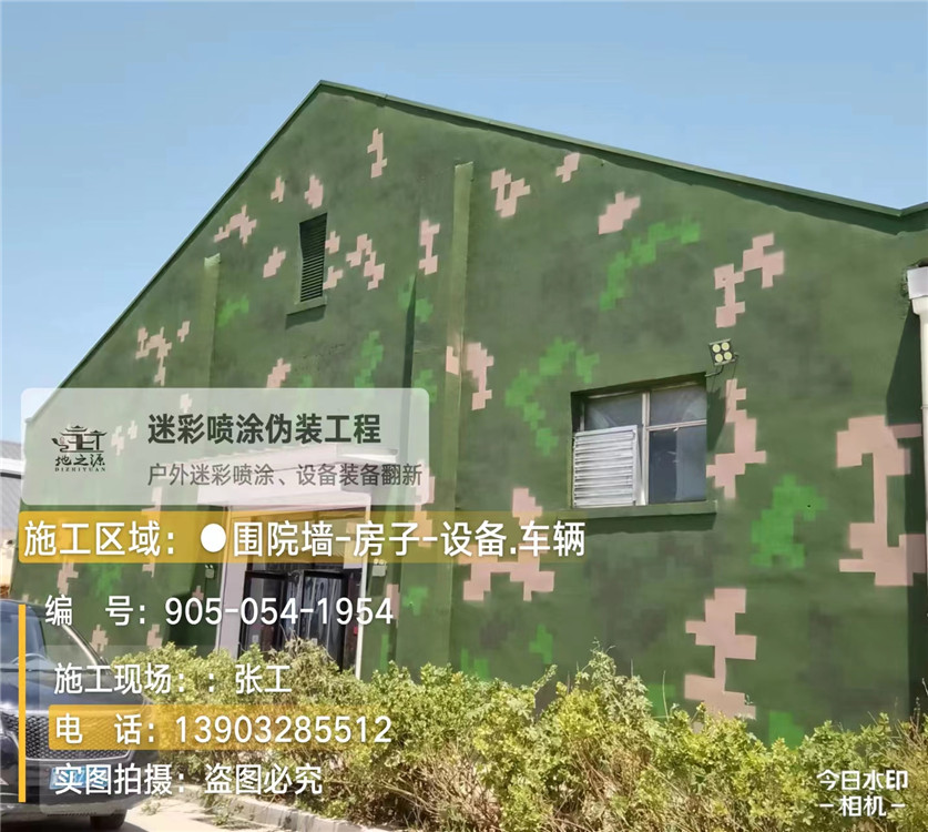 衡阳外墙数码迷彩漆施工报价清单（100㎡标准墙面测算）